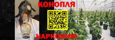 apvp Кунгур