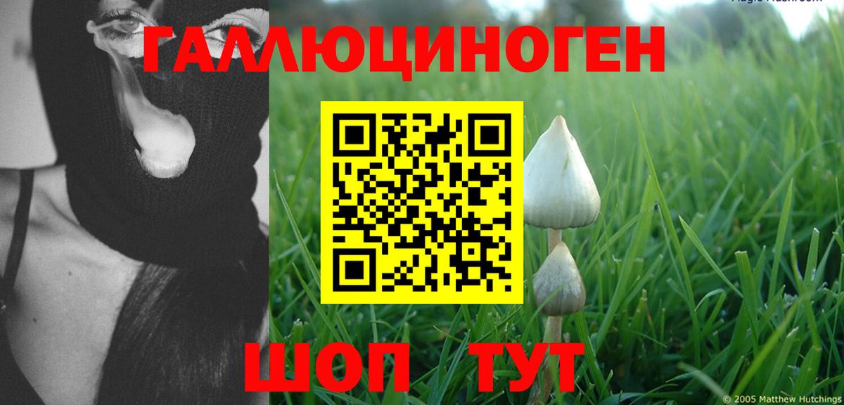 Сосновоборск  Псилоцибиновые грибы мухоморы  Галлюциногенные грибы Psilocybe  Вход с VPN 