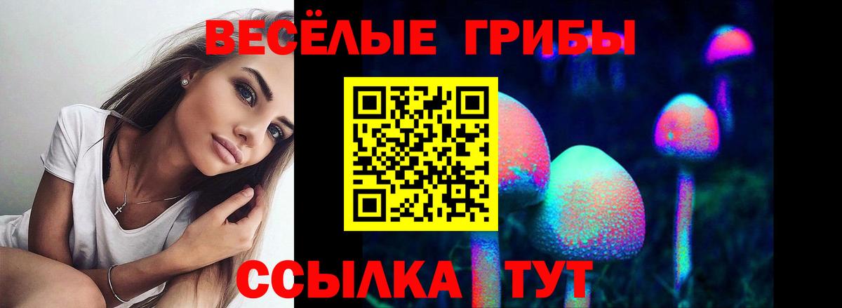 Галлюциногенные грибы Psilocybe Сосновоборск